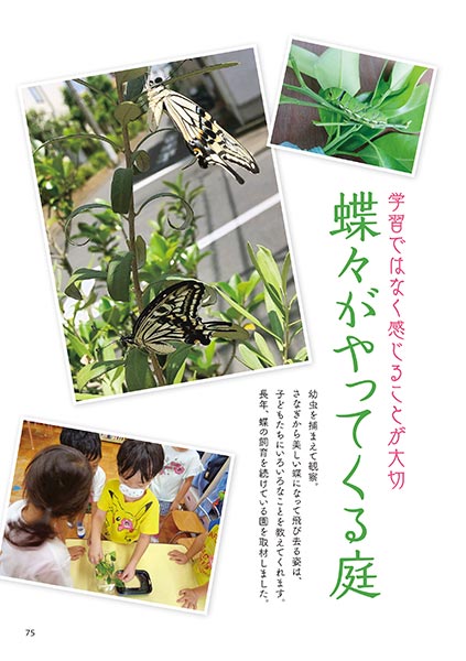 学習ではなく。感じることが大切 蝶々がやってくる庭