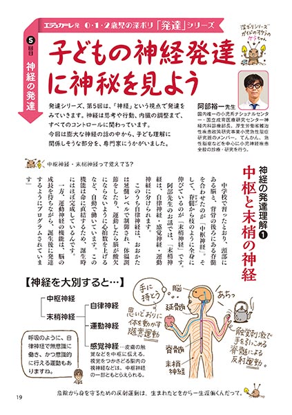 0・1・2歳児の深ボリ「発達」シリーズ 5回目：神経の発達 子どもの神経発達に神秘を見よう