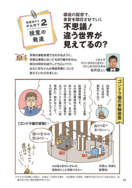発達深ボリ PART 2 視覚の発達 不思議！ 違う世界が見えてるの？