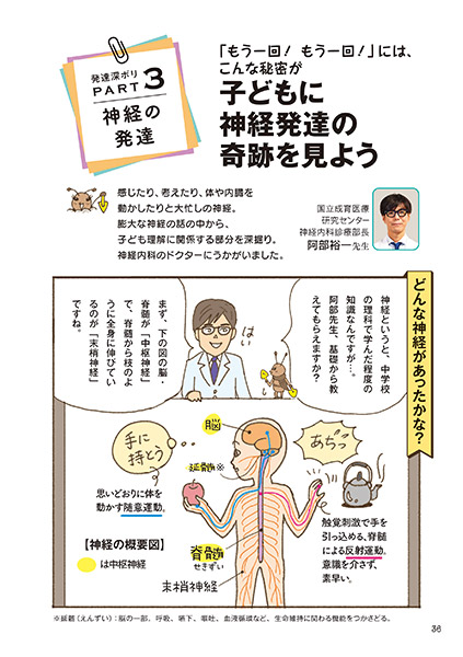 発達深ボリ PART 3 神経の発達 子どもに神経発達の奇跡を見よう
