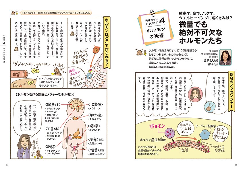 発達深ボリ PART 4 ホルモンの発達