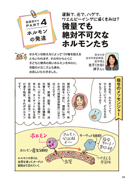 発達深ボリ PART 4 ホルモンの発達 微量でも絶対不可欠なホルモンたち