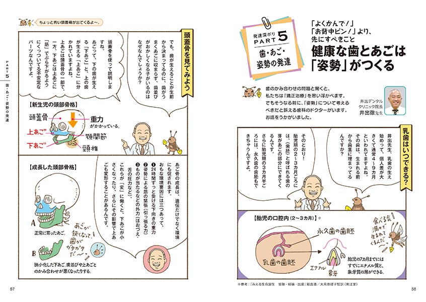 発達深ボリ PART 5 歯・あご・姿勢の発達