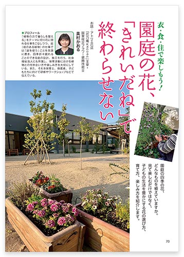 衣・食・住で楽しもう！ 園庭の花、「きれいだね」で終わらせない