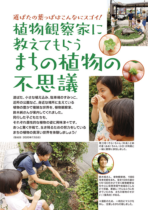 道ばたの葉っぱはこんなにスゴイ！ 植物観察家に教えてもらうまちの植物の不思議