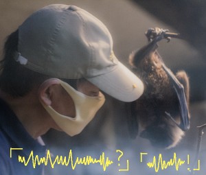 コウモリの子どもと会話する飼育員さん