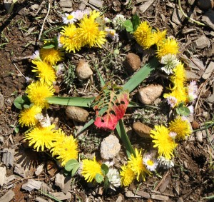 ボタニカルアート